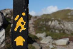 small_business_guide small_business_guide